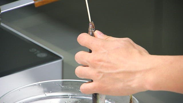 Preparing sand eel with a skewer in a kitchen