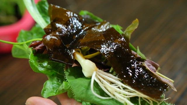 Korean lettuce warp with seaweed and octopus