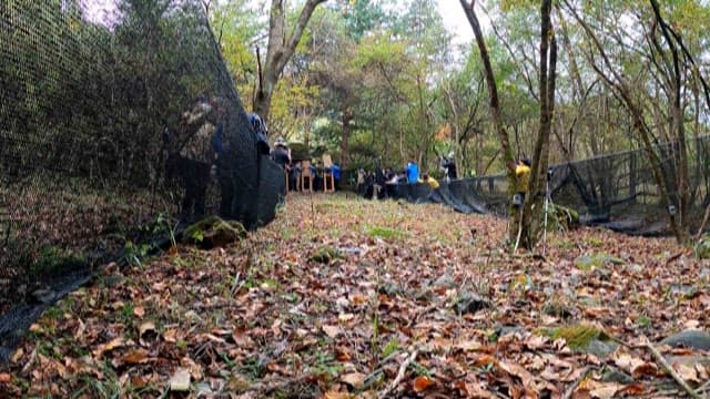 Animals running out of cages in the forest