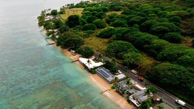 Tropical Coastline with Lush Greenery and Homes