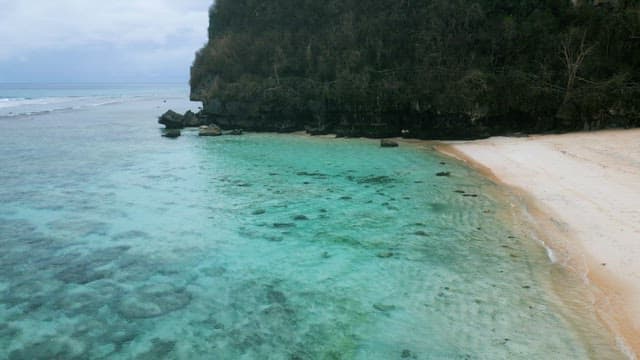 Tropical Coast Bordered by Rough and Lush Forest