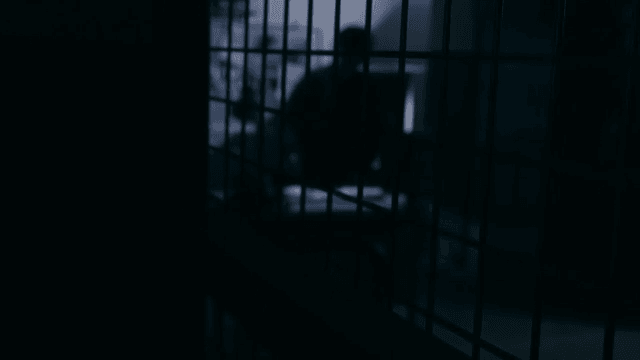 Lonely Silhouett in a Dark Office Seen through Iron Bars