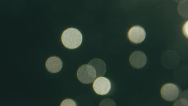 Air bubbles rising from transparent and clear water