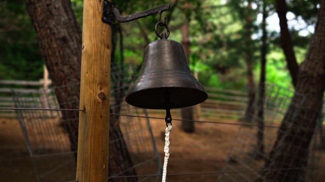 Bell hanging on a wooden post in a serene forest