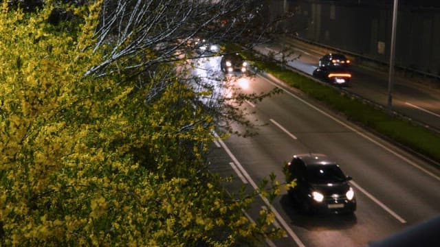 Night road with cars passing by with flowers in bloom