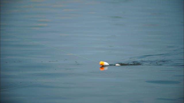 Fishing float moving on calm water