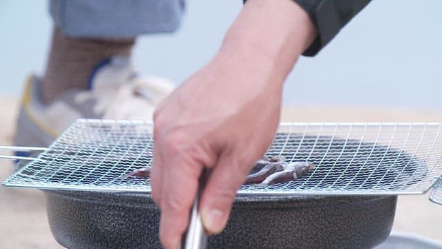 Grilling anchovies on a small grill using tongs