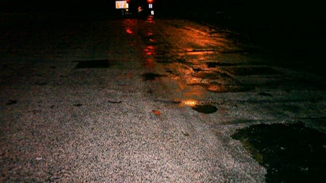 Red crab crawling on a rainy road