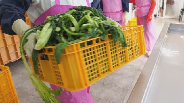 Workers in pink aprons handling fresh greens in a food processing facility