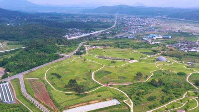 Aerial View of a Lush Park in Nature