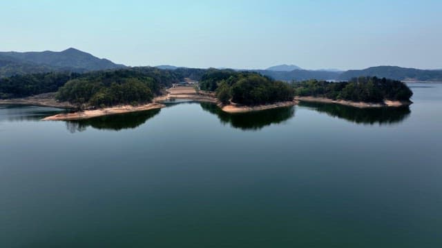 Tranquil lake surrounded by lush forests
