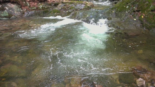 Clear stream flowing over rocks