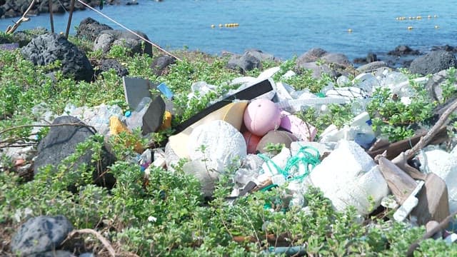 Coastal Area Cluttered with Plastic Waste and Debris