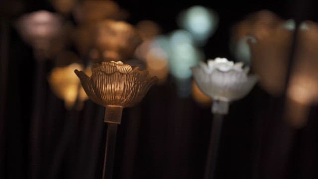 Illuminated glass flower sculptures at night