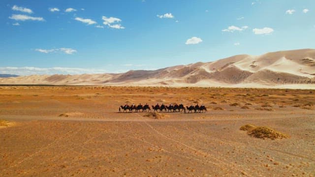 Caravan Journey on Camels Across the Desert