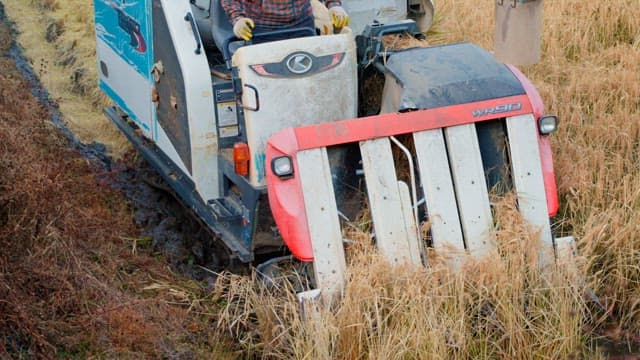 Farmer operating a harvester in a rice field