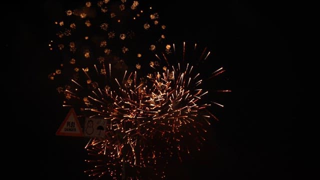 Fireworks lighting up the night sky