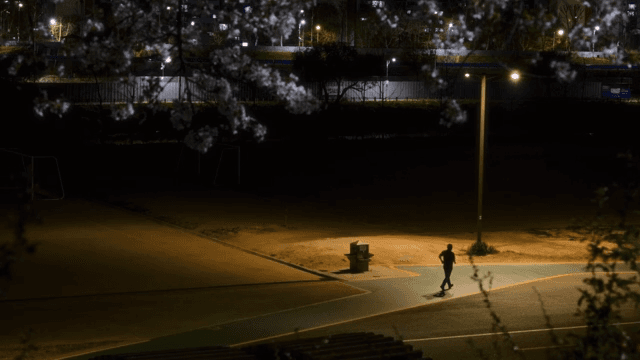 Quiet park at night with streetlights