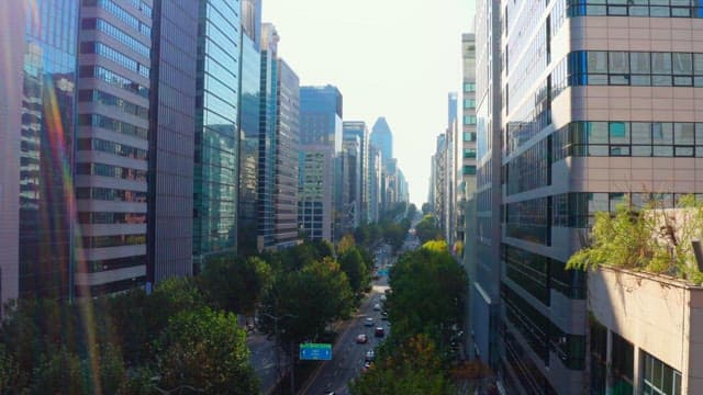 Bustling city street lined with skyscrapers