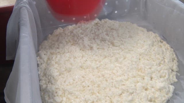 White Soft Tofu Filtered Through a Sieve