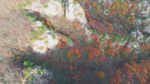 Colorful autumn forest and rocky cliffs