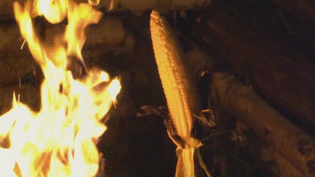 Corn roasting over an open flame
