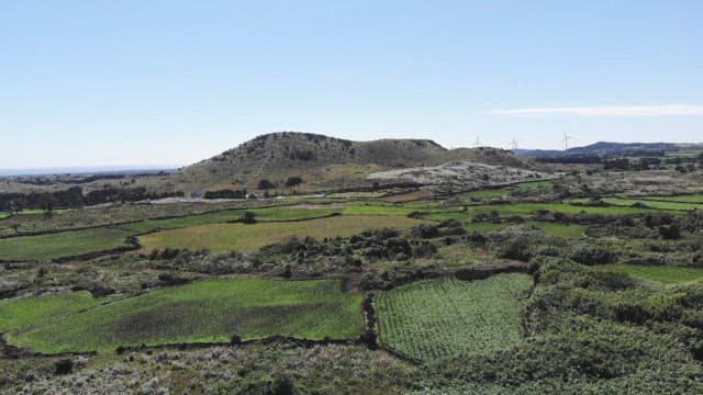 Aerial view of rolling green farmlands and volcanic cone during the daytime