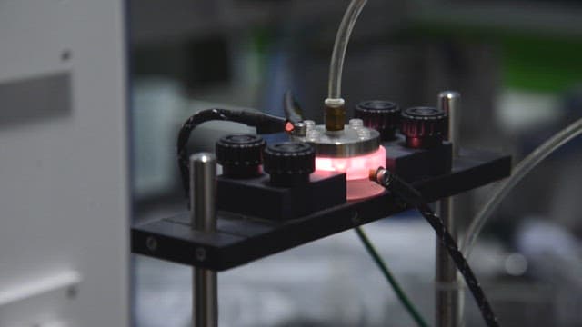 Raw chicken being steam sterilized in a laboratory