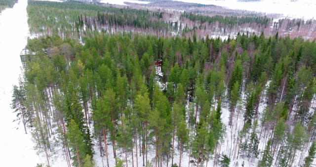 Snowy forest landscape with a cabin