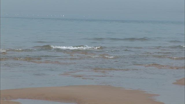 Quiet beach with mudflats exposed during low tide