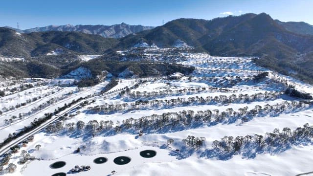 Snowy Mountain Landscape with Pine Trees