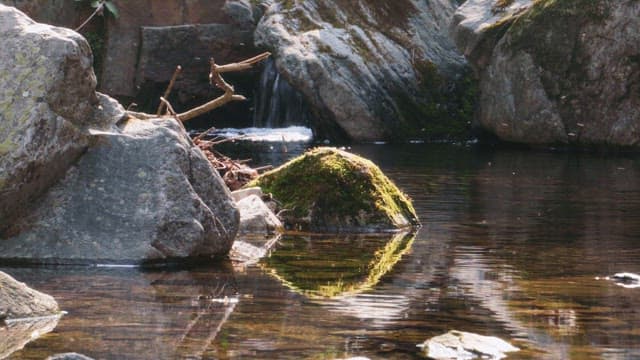 Sunlight Reflections on a Clear Rocky Stream