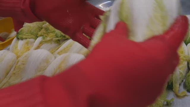 Sorting pickled cabbage while wearing rubber gloves in factory