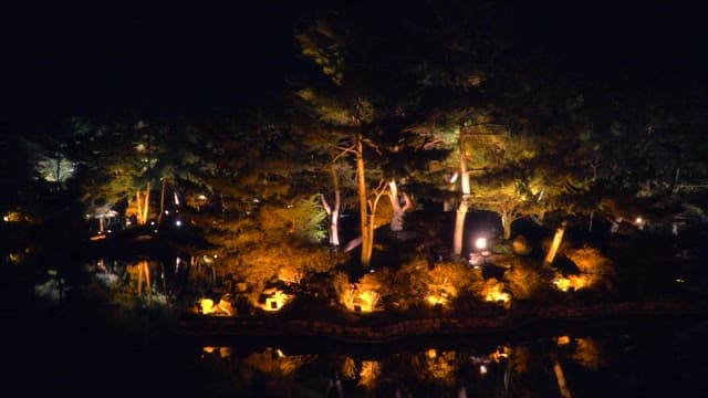 Brightly lit trees reflected on a dark pond at night