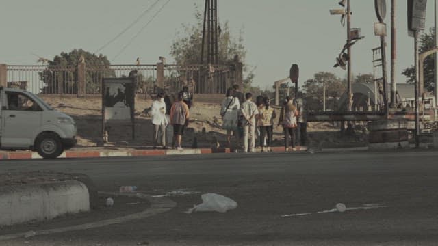 People at a Park with Monkeys on a Sunny Day