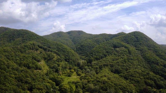 Serene Mountain Range Covered in Lush Forest