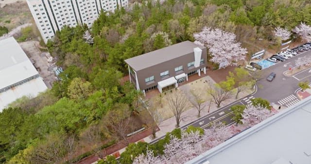 Building surrounded by cherry blossoms