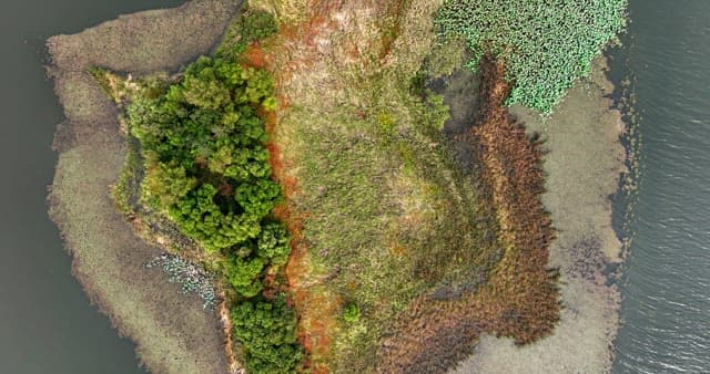 Serene lake with greenery