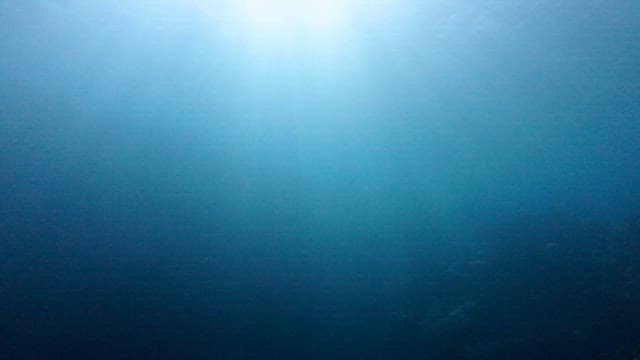 Sunlight filtering through the ocean water