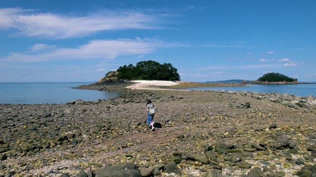 Hiker Walking Towards a Sea Road