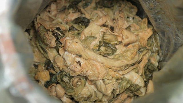 Taking out fermented kimchi from a plastic bag by hand