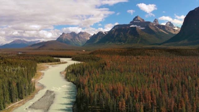 Aerial View of a Vast Grass and High Mountain Range