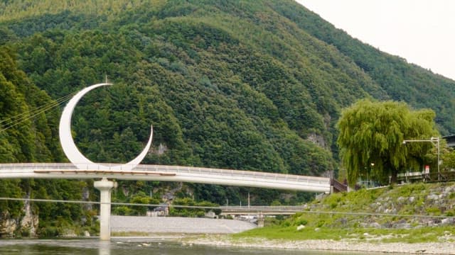 Scenic bridge with lush greenery in the background