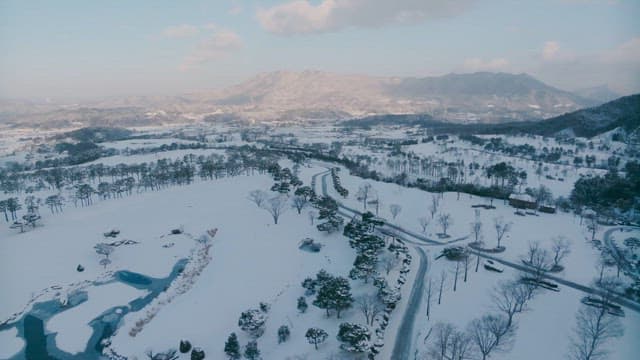 Snowy Landscape with Winding Road and Trees