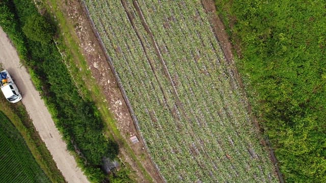 Panoramic View of Farmland
