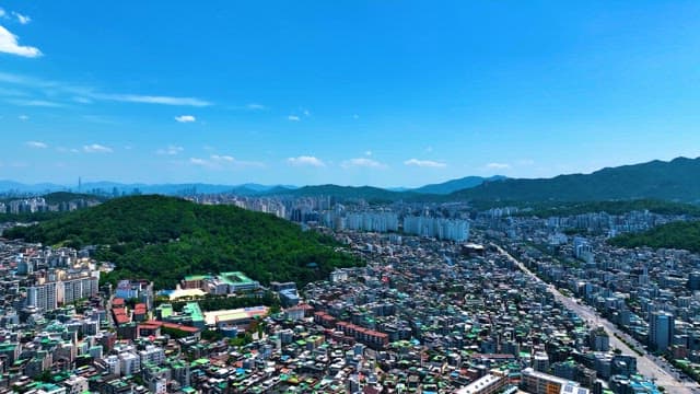 City where Nature and Dense Buildings Coexist