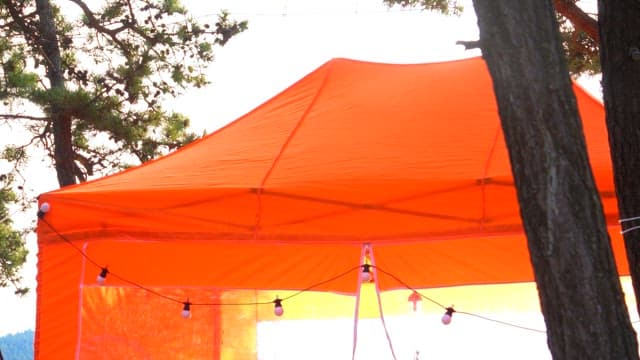 Orange tent set up between trees on a sunny day