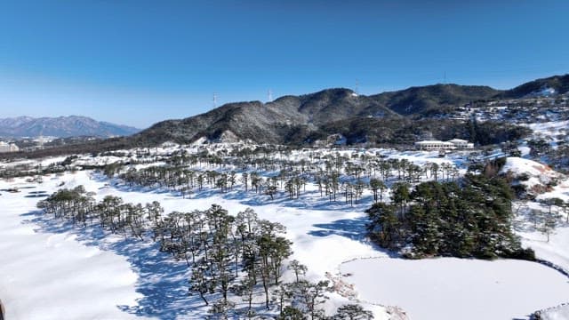 Snow-covered Landscape with Trees and Mountains