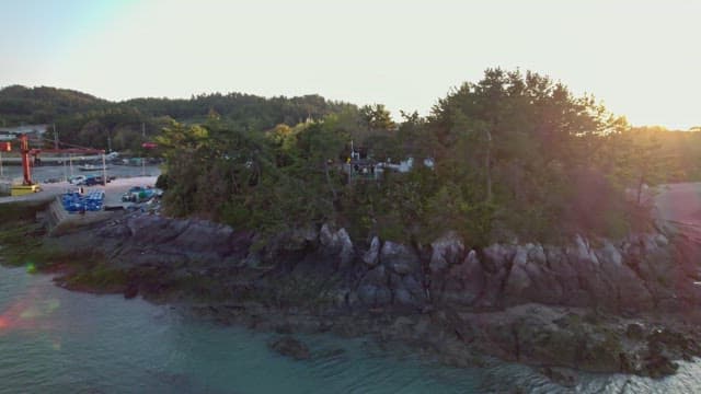 Serene coastal area with trees and rocks
