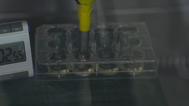 Using pipette in a lab